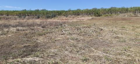 Terreno Venda Condominio  Botelho em Jaú