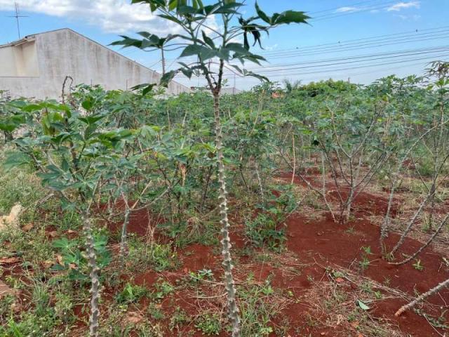 Terreno Venda Jardim Alvorada em Jaú